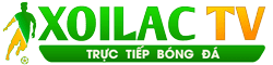 World Team Cup - giá euro ngày hôm nay